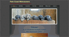 Desktop Screenshot of palmcoastweims.com