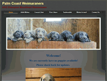 Tablet Screenshot of palmcoastweims.com